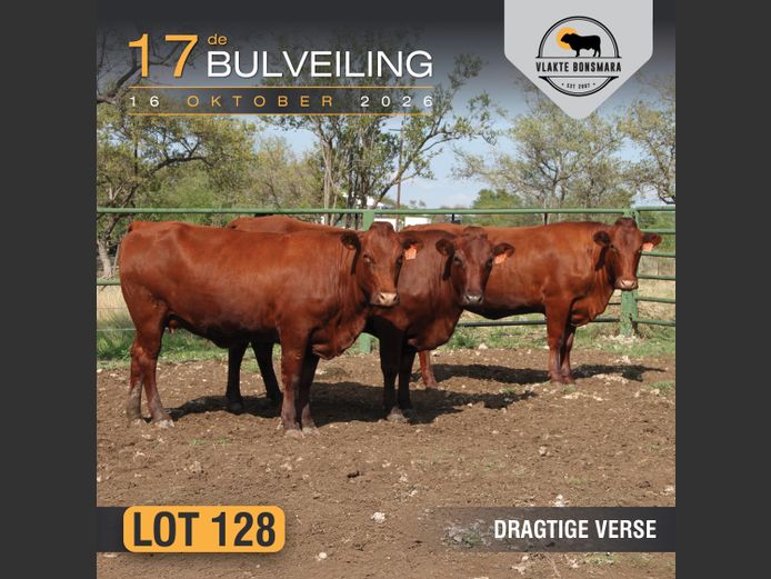 Commercial Animals | Bosland Boerdery