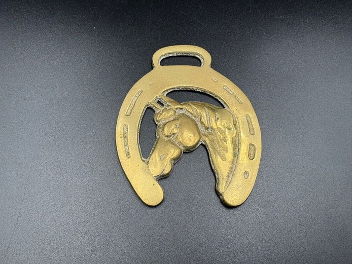 Vintage Brass Horse Harness Medallion – Horseshoe & Horse Head Design