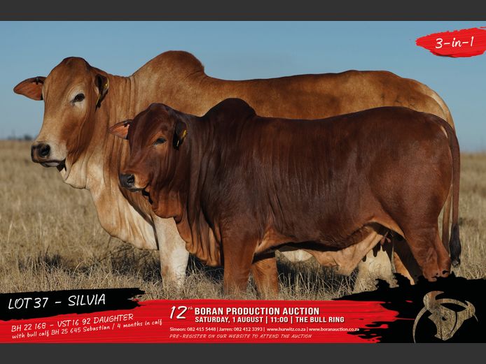 BH 220168 | HURWITZ FARMING