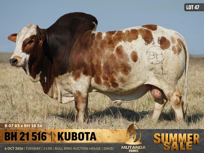 BH210516 | MUTANDA FARMS & PROPERTY