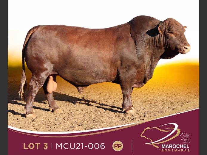 MCU 210006
