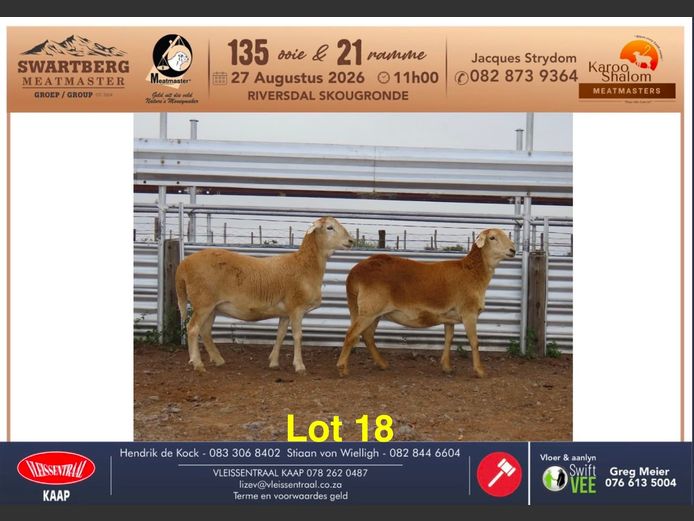 D25.177 | KAROO SHALOM