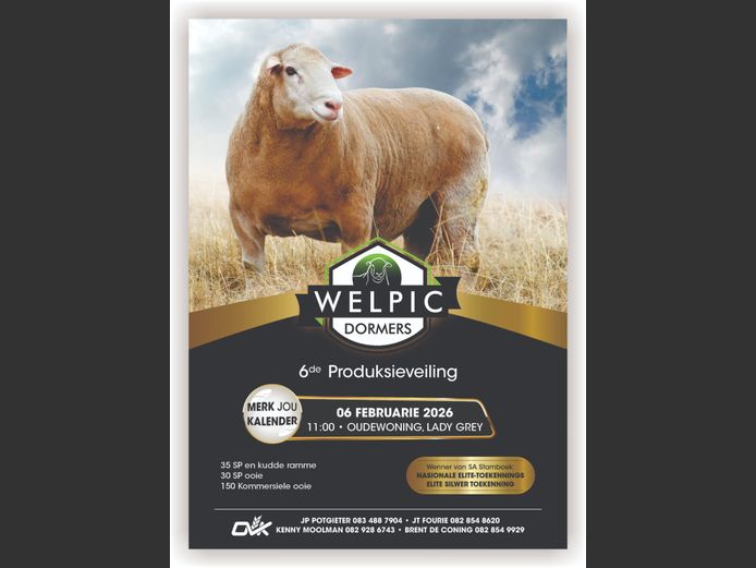 WELPIC DORMERS 6DE PRODUKSIEVEILING