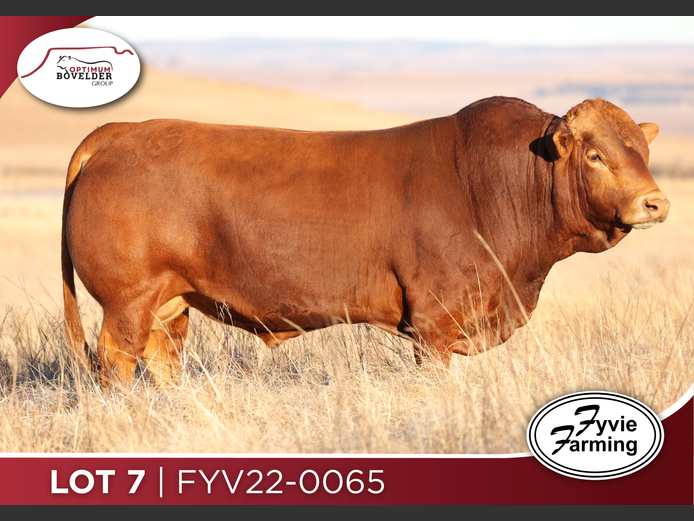 FYV22-0065