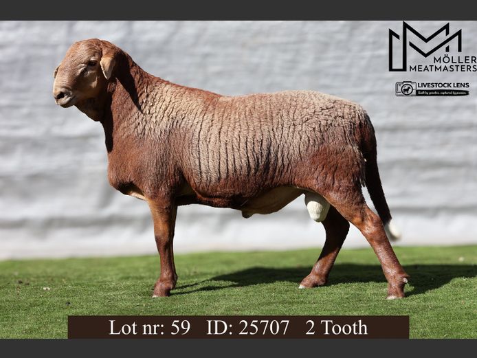 25707 | Moller Meatmasters