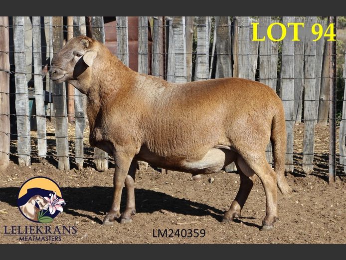 LM 24 0359 | AANGETEKEN | Piet de Lange - Leliekrans Meatmasters