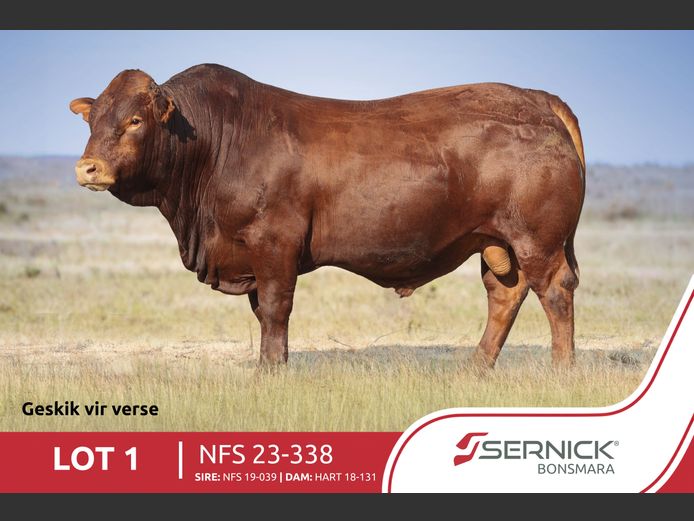NFS 230338 HH(c) | SERNICK BONSMARA STOET