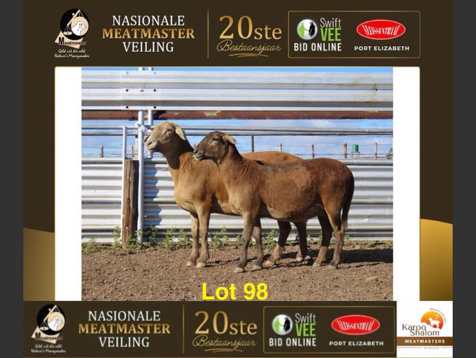 B 23.446 | Karoo Shalom Meatmasters