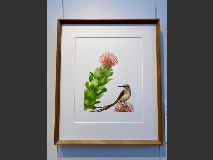 “Leucospermum patersonii” (2019) by Lynda de Wet | Grootbos Florilegium