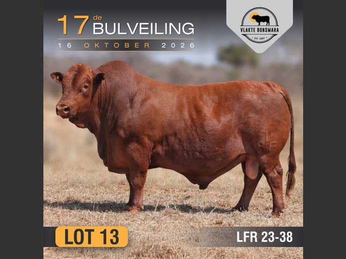 LFR230038 | LEON RIEKERT & SEUNS