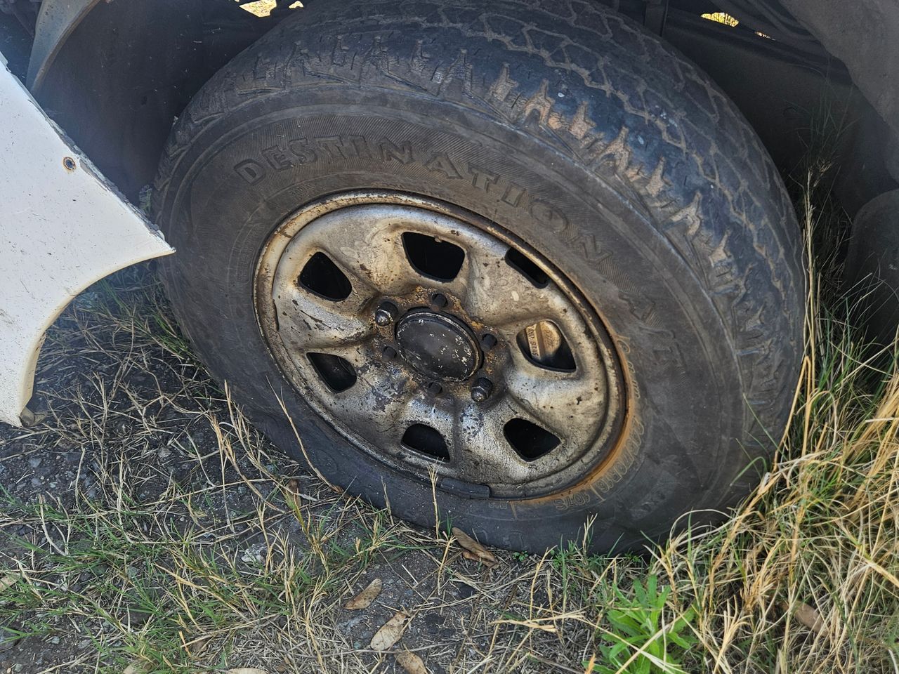 images