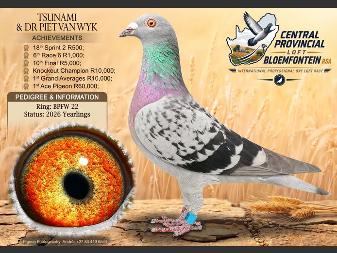 BPFW 22 2026 | TSUNAMI & DR PIET VAN WYK