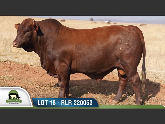 RLR 220053 | RHENOSTERVALLEI