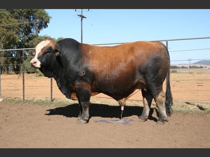 REG22500 | C RAUTENBACH