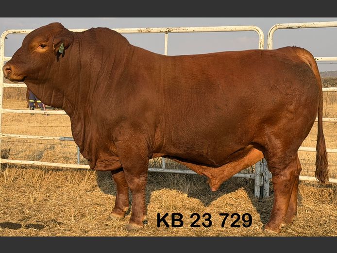 KB23729