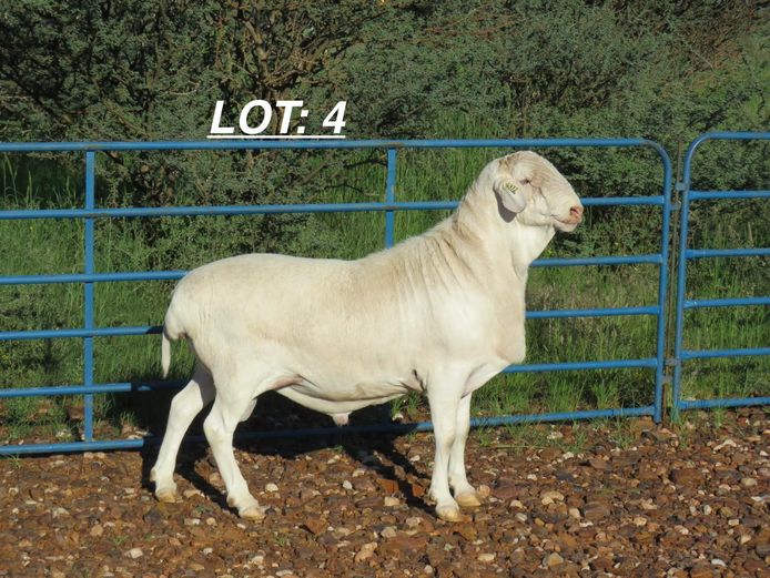 34 24 0372 | MNR. LOUIS VAN RENSBURG