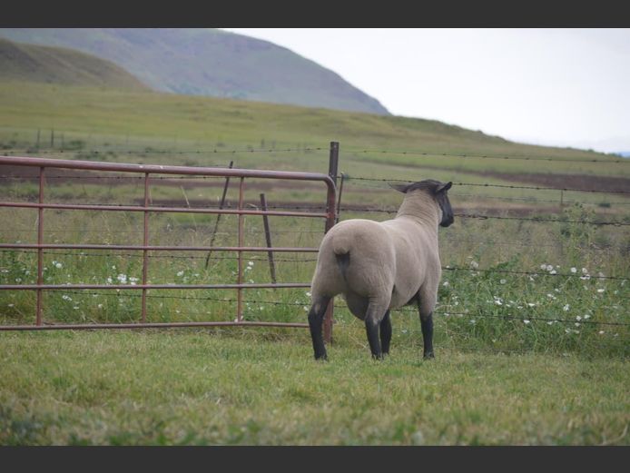 301 240216 | TWEESEUNS