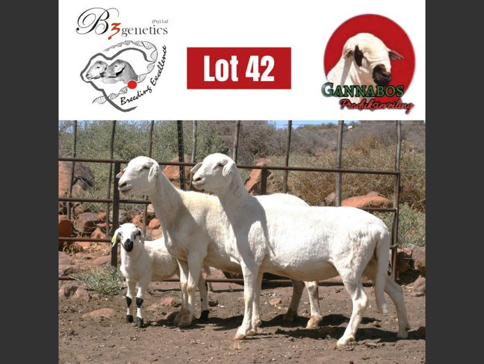 BBB23-0048 | B3genetics Pty Ltd