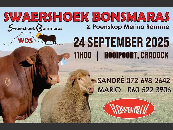 SWAERSHOEK BONSMARA &  POENSKOP MERINO VEILING