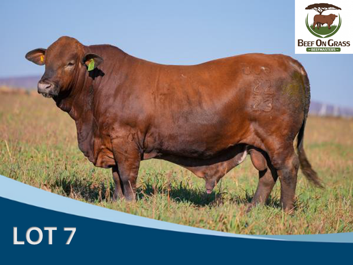 BOG 220023 | BEEF ON GRASS PTY LTD