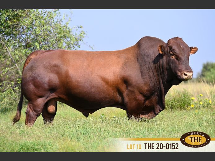 THE 200152 | J.A. PIENAAR