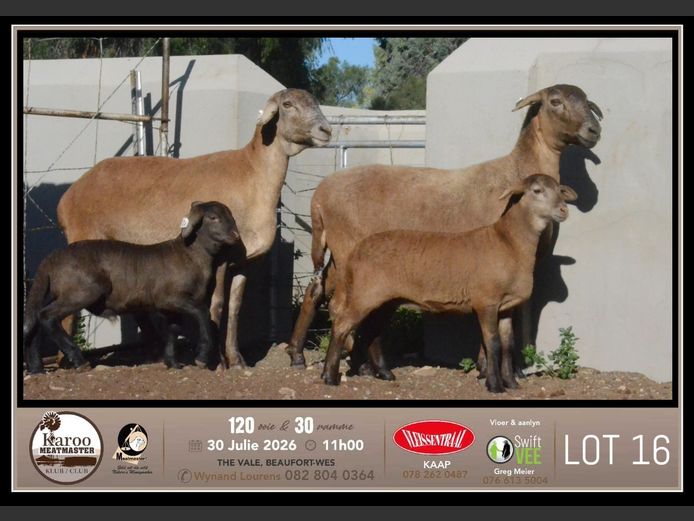 PB 2507 | Johan & Jeanne Murray - Pienaarspan Meatmasters