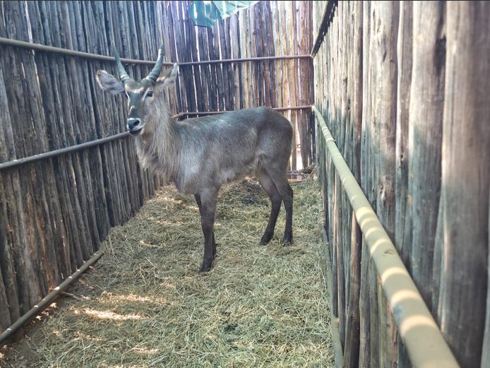 WATERBOK | HANLEY