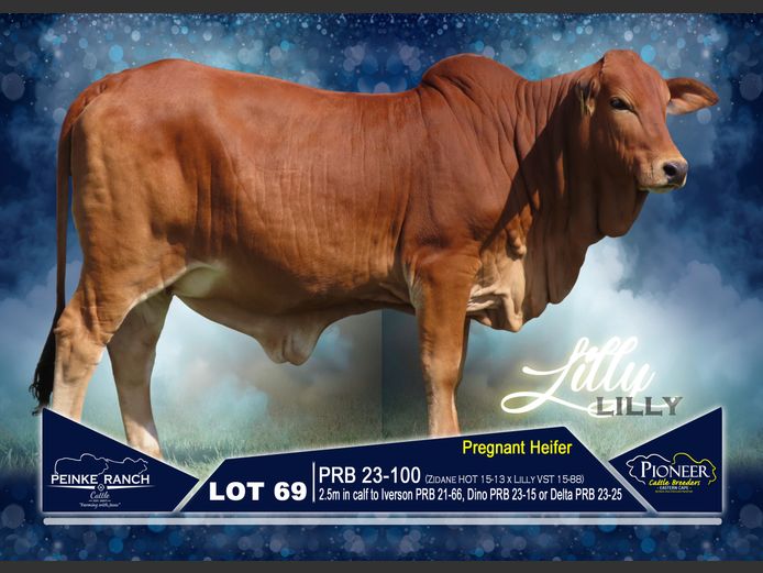 PRB 230100 | PEINKE RANCH