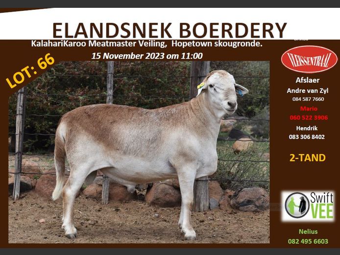 RSL B245 | ELANDSNEK BOERDERY