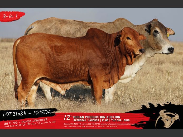 BH 210709 | HURWITZ FARMING