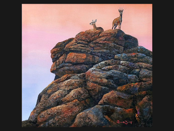 Klipspringer