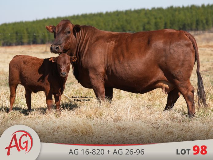 AG160820 | ARTHUR DE VILLIERS & SEUN