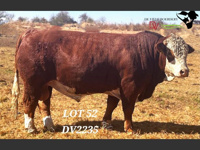 DV2235 | DE VILLE BOERDERY (EDMS) BPK