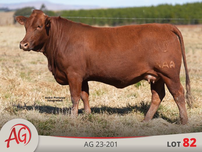 AG230201 | ARTHUR DE VILLIERS & SEUN