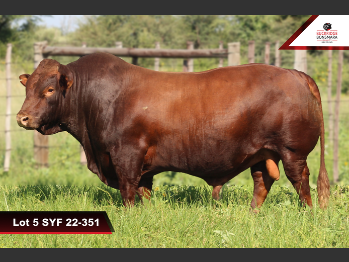 SYF 220351 | SYFERFONTEIN BOERDERY