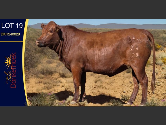 DKH240028 | DONKERHOEK BOERDERY TRUST