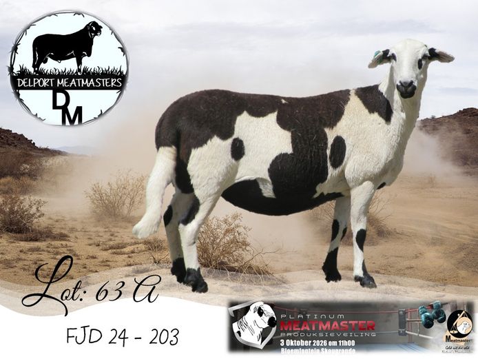 FJD 24-203 | Delport Boerdery