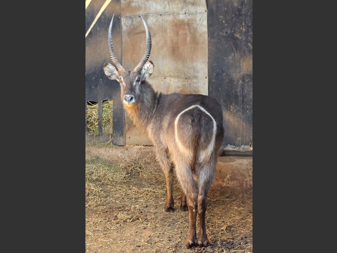 WATERBOK | D JACOBS
