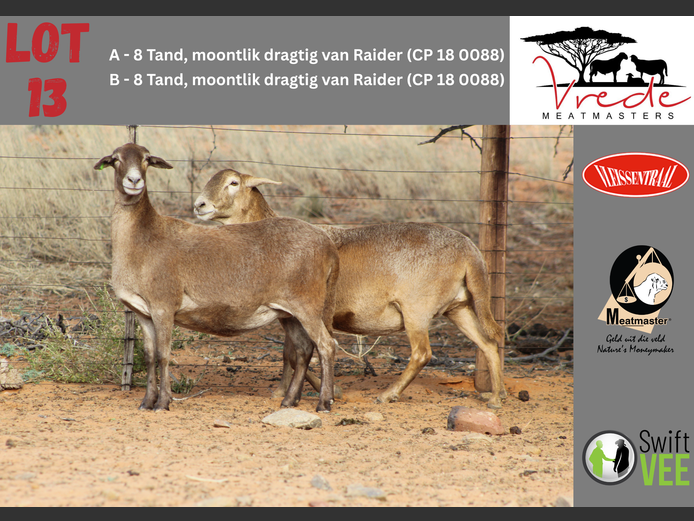PS 22 071 | Peter & Christia Scholtz - Vrede Meatmasters