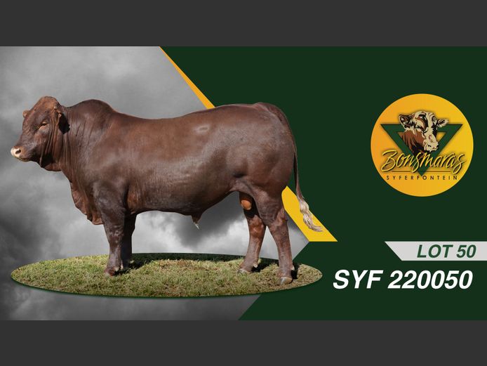 SYF220050 | SYFERFONTEIN BOERDERY