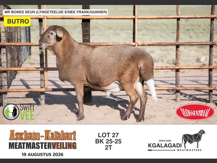 BK 25-25 | BARRI KNOETZE