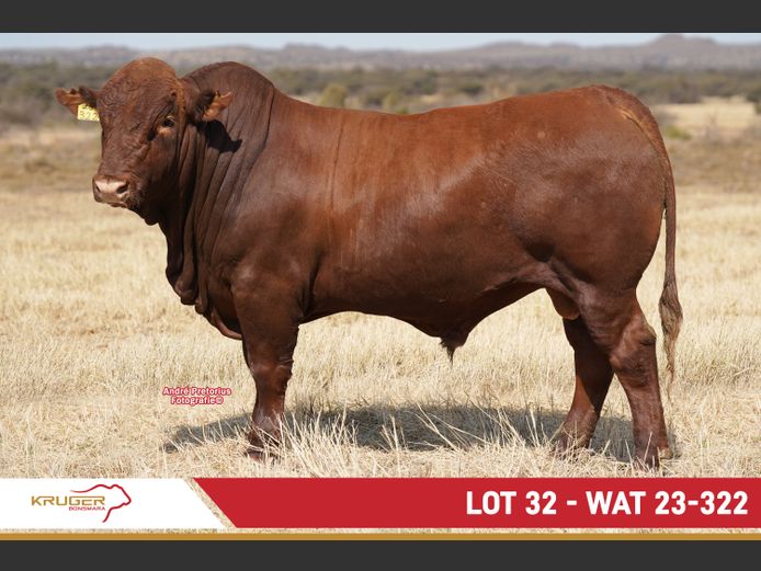 WAT230322 | KRUGER BOERDERY
