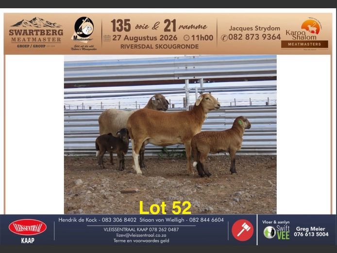 D25.25 | KAROO SHALOM