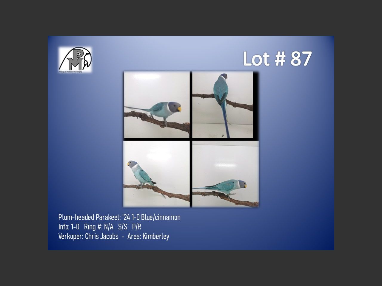images