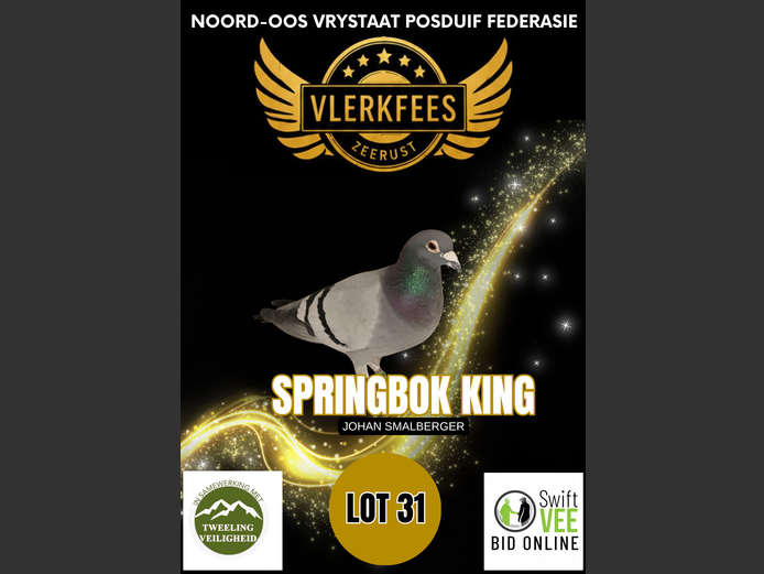 SPRINGBOK KING | JOHAN SMALBERGER
