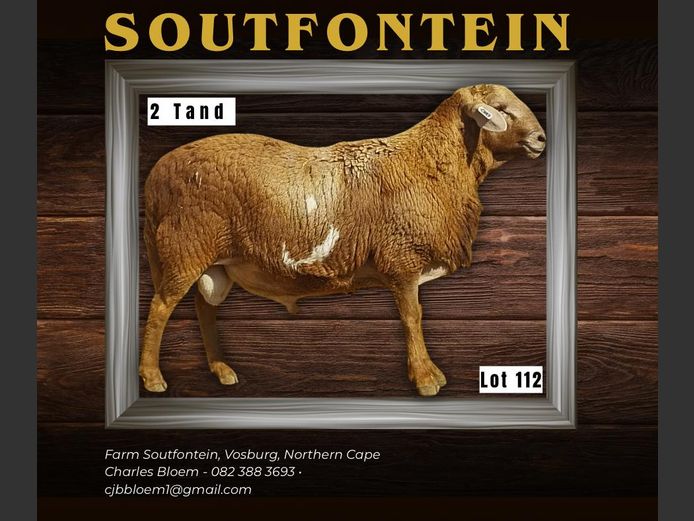 CB 240135 | SOUTFONTEIN MEATMASTERS