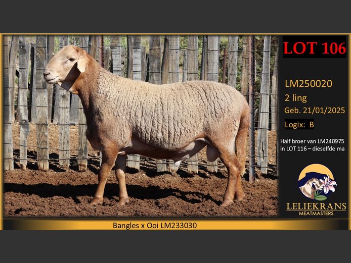 LM250020 | LELIEKRANS MEATMASTERS