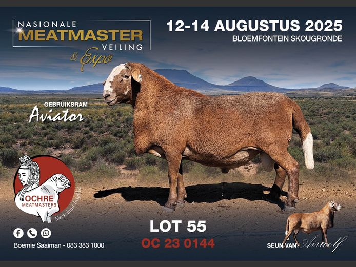 OC 23 0144 | AANGETEKEN | Boemie Saaiman - Ochre Meatmasters