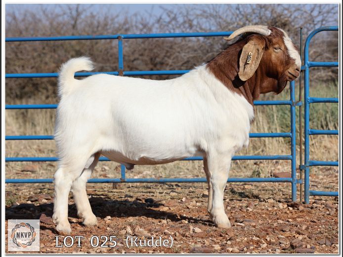 1885 24 0024 | MNR. LOUIS VAN RENSBURG