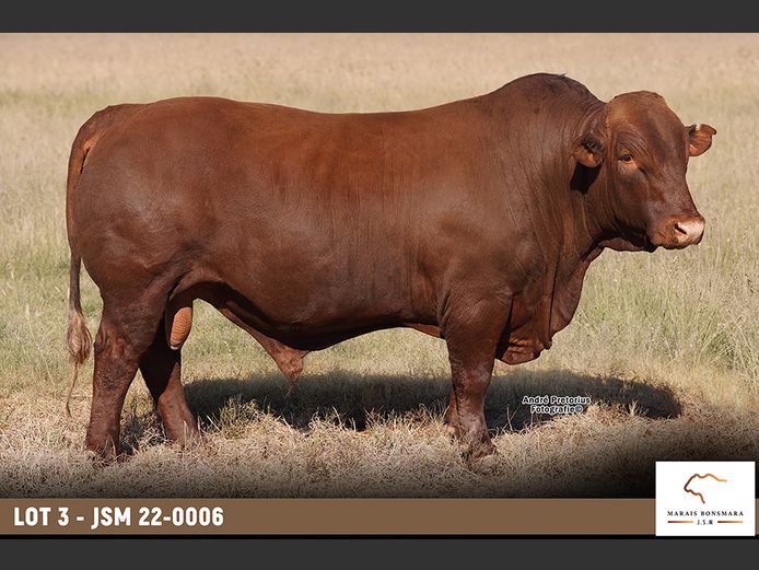 JSM220006 | MARAIS BONSMARAS